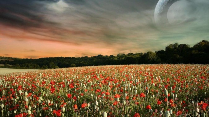 有什么关于贵阳的冷知识？